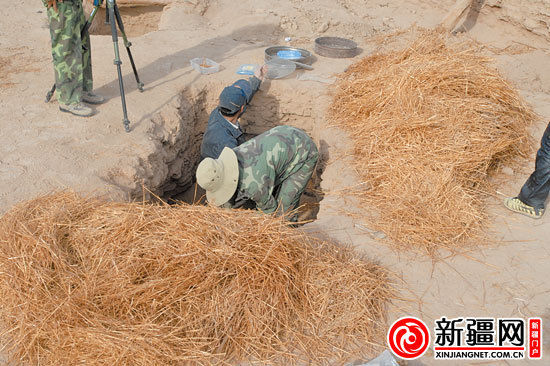 考古人员正在清理麦秆。（图由中国科学院人文学院科技室与科技考古系提供）