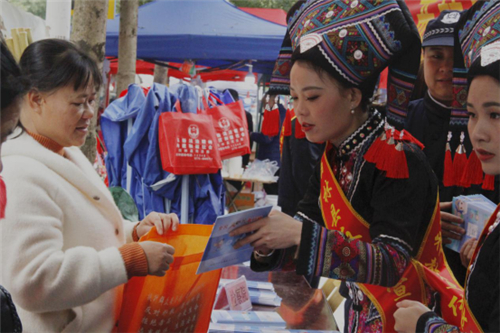 广西西林县反邪教宣传融入第七届句町文化节970